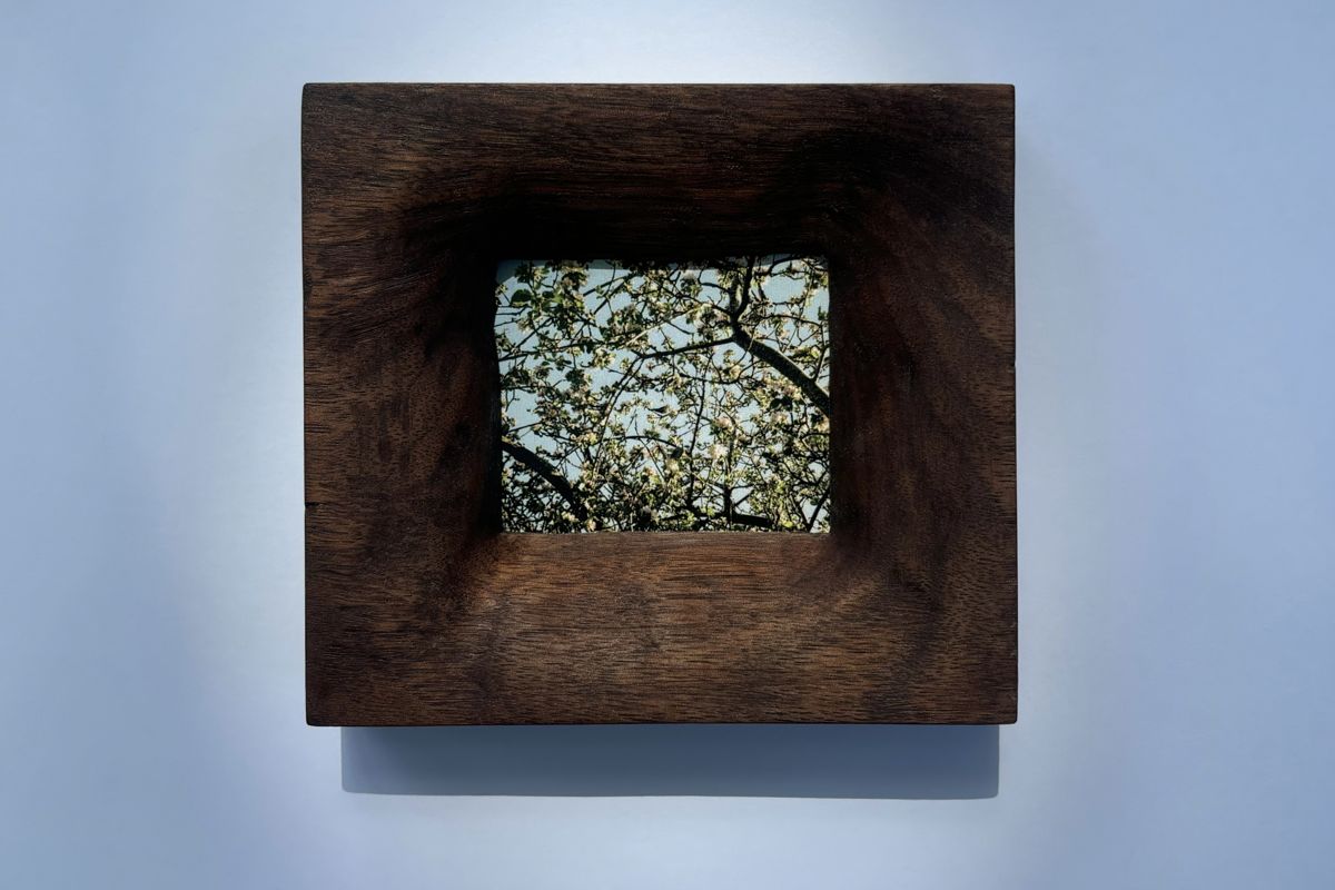 Dark walnut frame holding a photo of blossom against blue sky